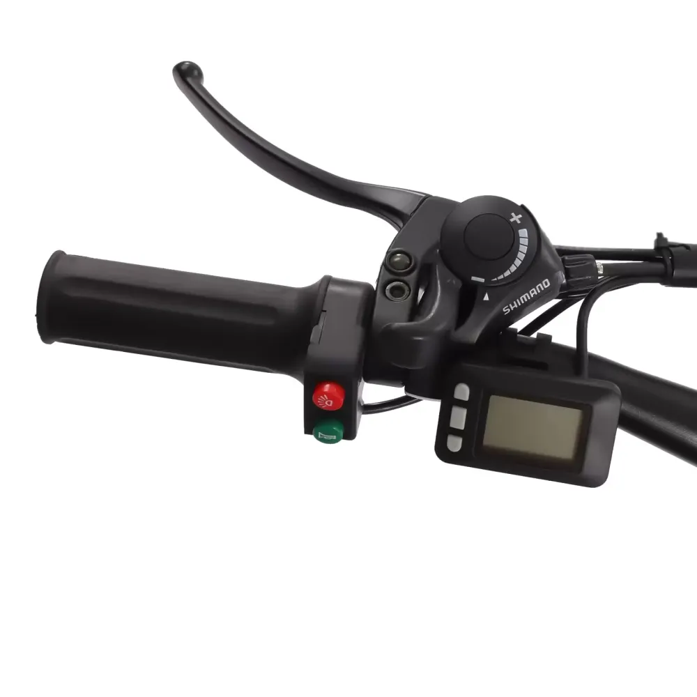 26" elektrokolo E-MTB 250 W motor 25 km/h a 21 rychlostí elektrokolo s LED světlometem a LCD displejem pro muže a ženy