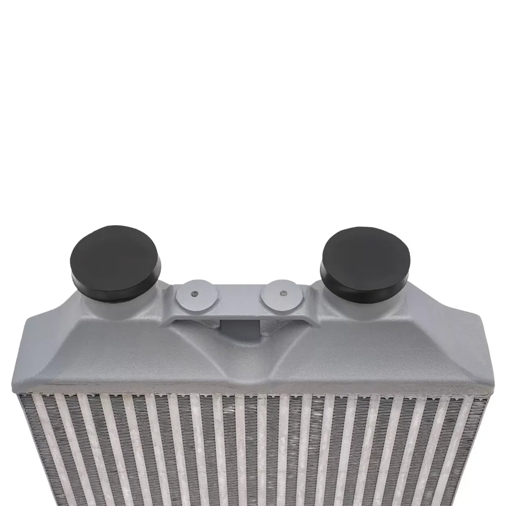 Obrázek je špatně Refroidisseur avant pour Seat Sport 70 mm.