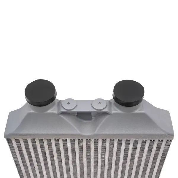 Obrázek je špatně Refroidisseur avant pour Seat Sport 70 mm.