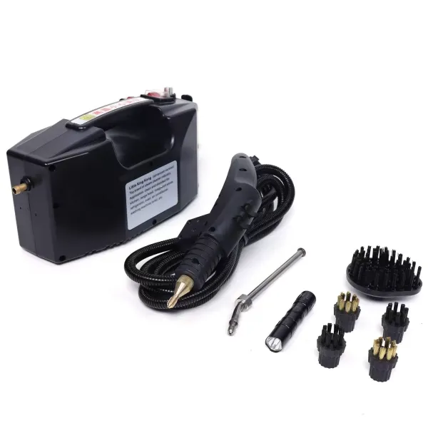 Ruční parní čistič pro domácí spotřebiče Vysokoteplotní a vysokotlaká elektrická pára 220 V 2600 W 300-350 kPa Komerční vysoká