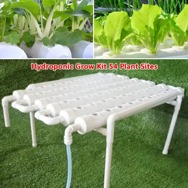Sada pro hydroponické pěstování – 54 otvorů Hydroponická PVC trubice 6 trubic Systém zahradních rostlin pro listovou zeleninu Sada pro hydroponické pěstování – 54 otvorů Hydroponická PVC trubice 6 trubic Systém zahradních rostlin pro listovou zeleninu