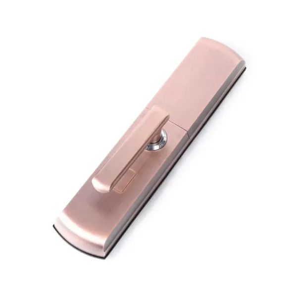 Smart Fingerprint Door Lock, Anti-Theft Smart Electronic Lock s vodotěsným zámkem dveří, s otiskem prstu