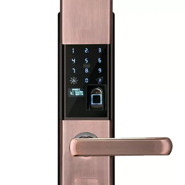 Smart Fingerprint Door Lock, Anti-Theft Smart Electronic Lock s vodotěsným zámkem dveří, s otiskem prstu