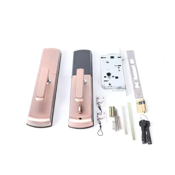Smart Fingerprint Door Lock, Anti-Theft Smart Electronic Lock s vodotěsným zámkem dveří, s otiskem prstu