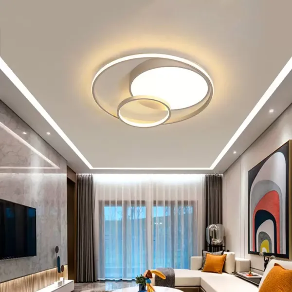 19palcové LED stropní svítidlo, 55W stmívatelné LED stropní svítidlo, kulaté akrylové stropní svítidlo, osvětlení pro dětský pokoj a ložnici