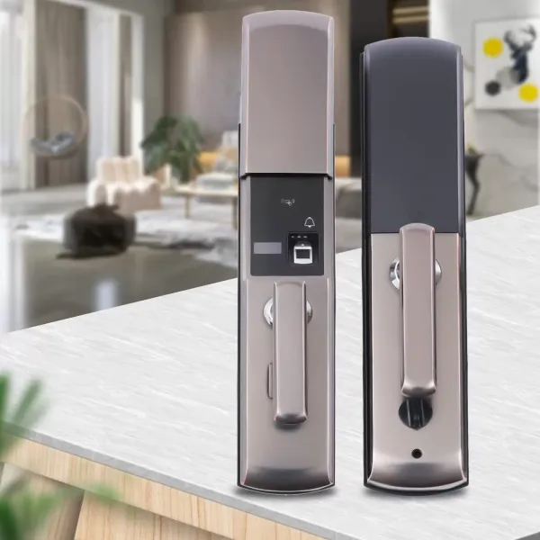 Acesunny Smart Door Lock s otiskem prstu a biometrem/elektronickým heslem pro IC skener (černý) Acesunny Smart Door Lock s otiskem prstu a biometrem/elektronickým heslem pro IC skener (černý)