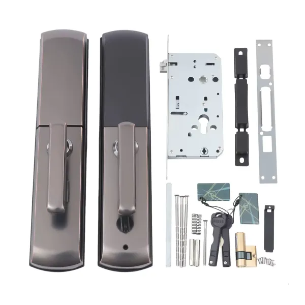 Acesunny Smart Door Lock s otiskem prstu a biometrem/elektronickým heslem pro IC skener (černý)