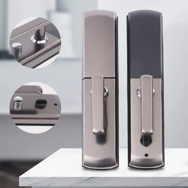 Acesunny Smart Door Lock s otiskem prstu a biometrem/elektronickým heslem pro IC skener (černý) Acesunny Smart Door Lock s otiskem prstu a biometrem/elektronickým heslem pro IC skener (černý)
