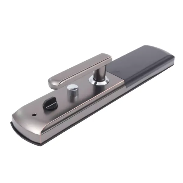 Acesunny Smart Door Lock s otiskem prstu a biometrem/elektronickým heslem pro IC skener (černý) Acesunny Smart Door Lock s otiskem prstu a biometrem/elektronickým heslem pro IC skener (černý)