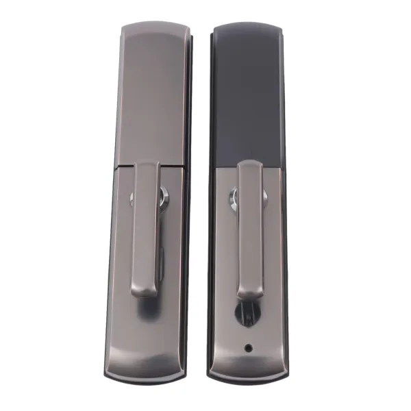 Acesunny Smart Door Lock s otiskem prstu a biometrem/elektronickým heslem pro IC skener (černý)