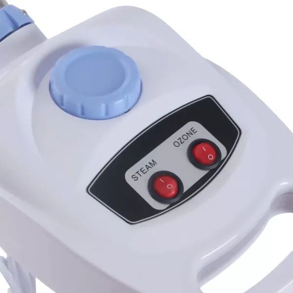 Ozónový parník Salon Sauna Salon obličeje Kosmetický stroj Sauna Facial Spa vaporizér 750W