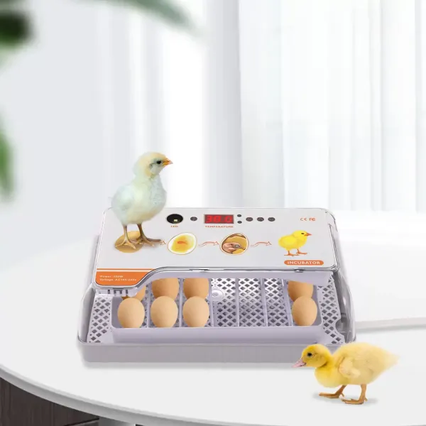 Plně automatický inkubátor na vejce Inkubátor na 20 vajec Plně automatický inkubátor pro slepice s LED světlem