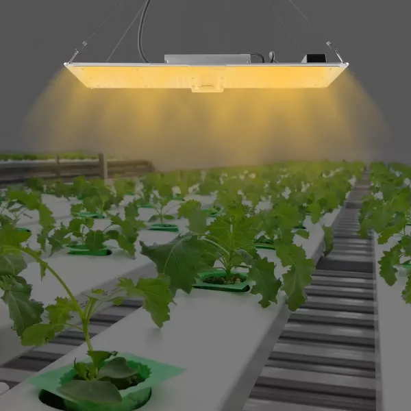 LED světlo na pěstování, vnitřní světlo na pěstování rostlin, květy květin, stmívatelné pro řetěz girlandy, 3x5 2x4 pěstební stan